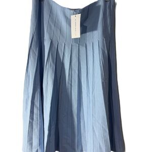Ali Specials NWT Sky Blue A-Line Skirt XL
